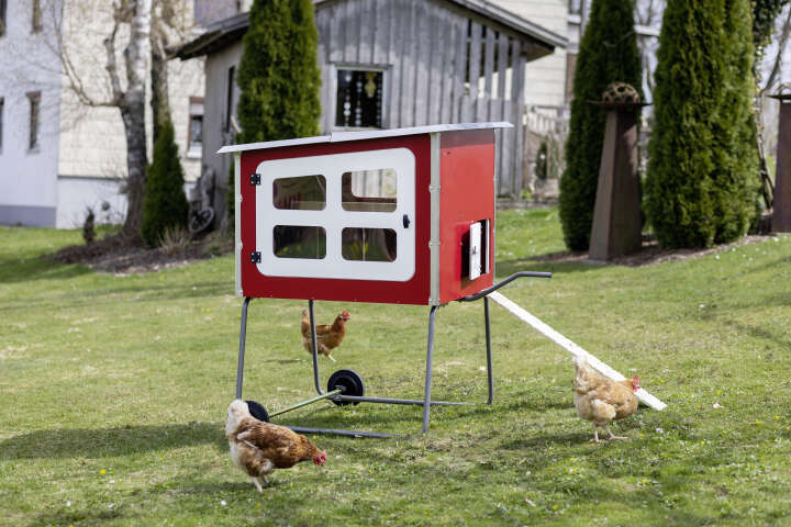 KERBL Hühnerstall Mobile Coop